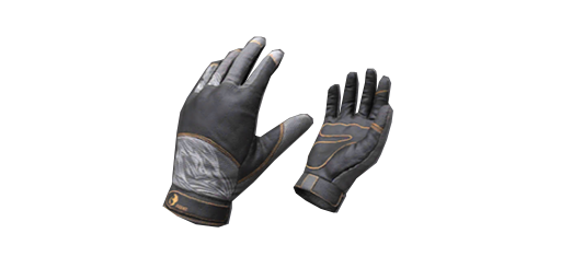 Gloves | Phoenix Risen