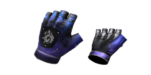 Gloves | X-Ray